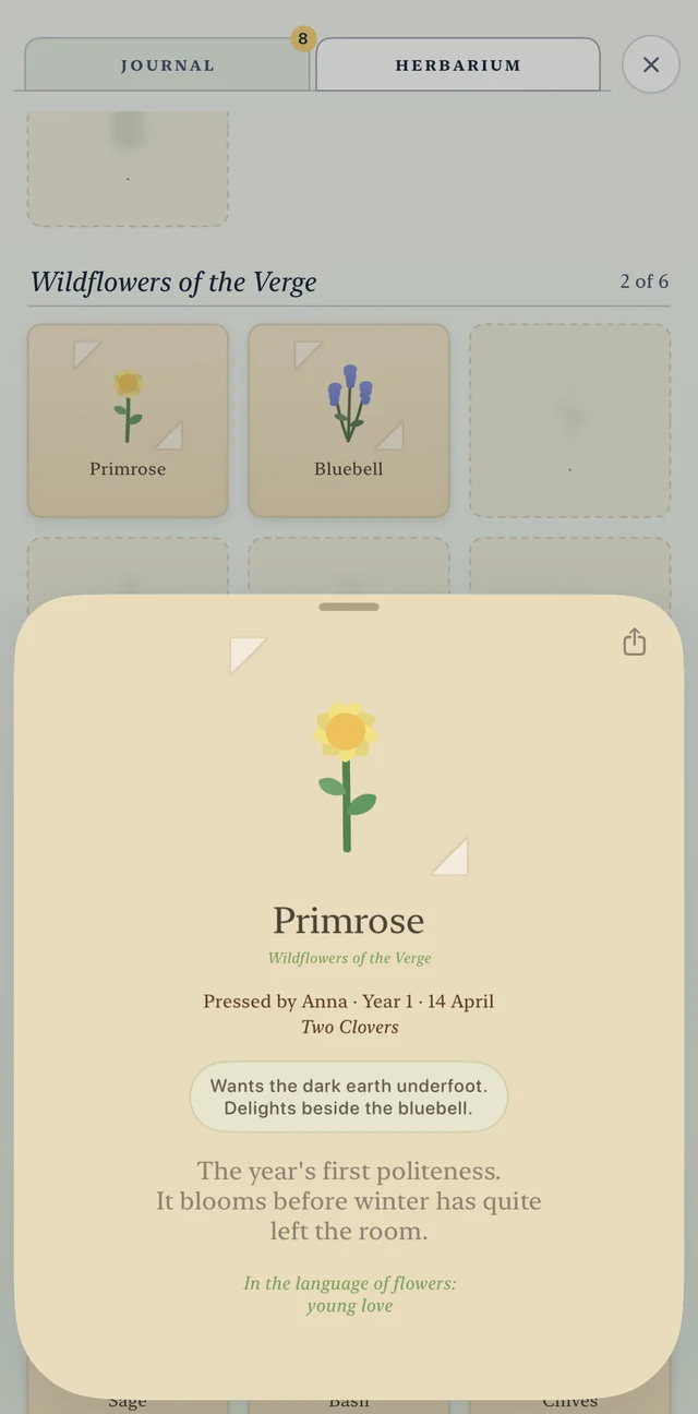 A pressed primrose on its card: Pressed by Anna, Year 1, 14 April, Two Clovers. Below, what it wants: the dark earth underfoot, and delights beside the bluebell.